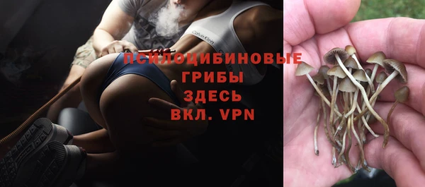 2c-b Михайловск